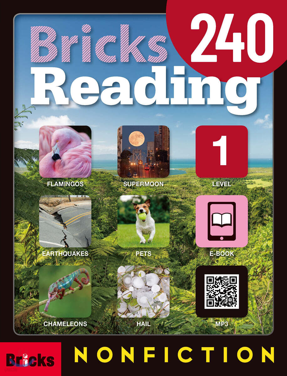 Bricks Reading Nonfiction 240
