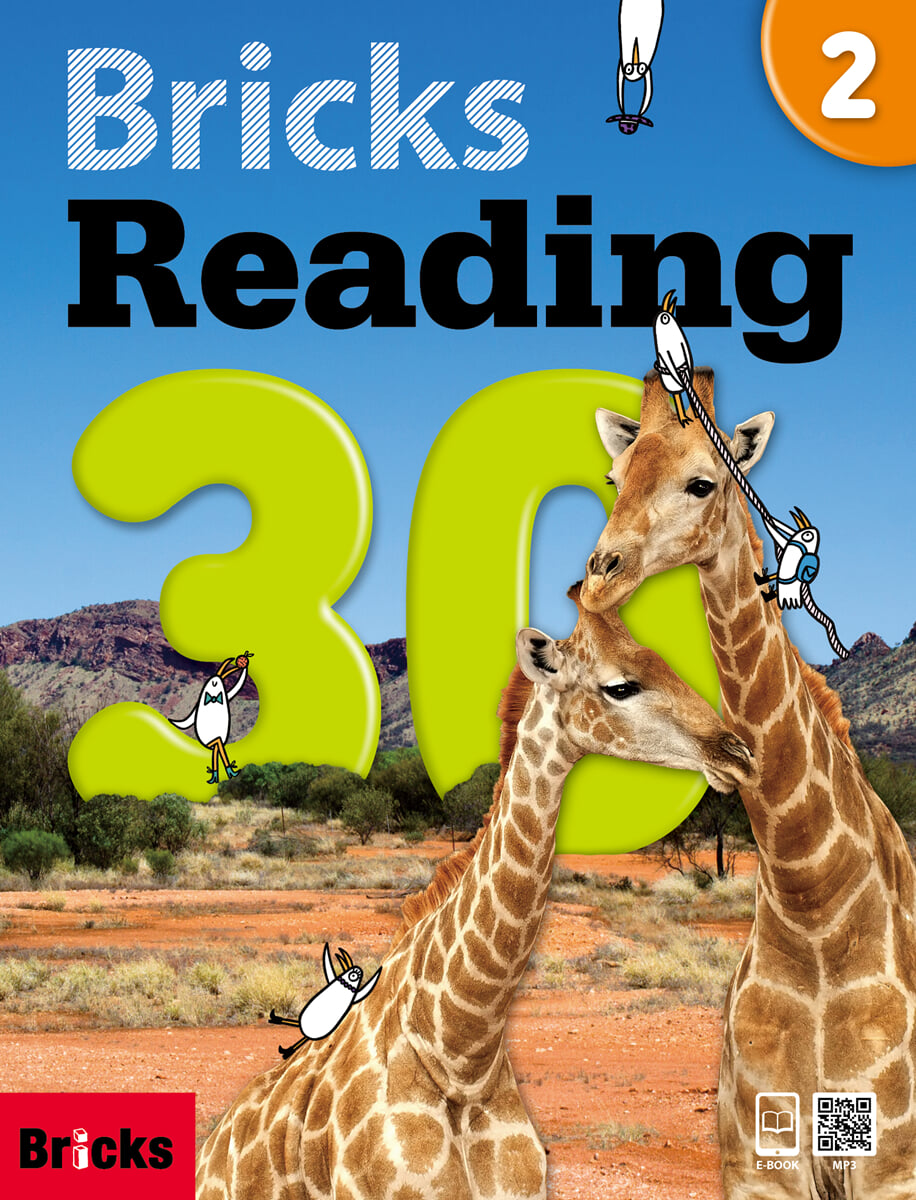 Bricks Reading 30